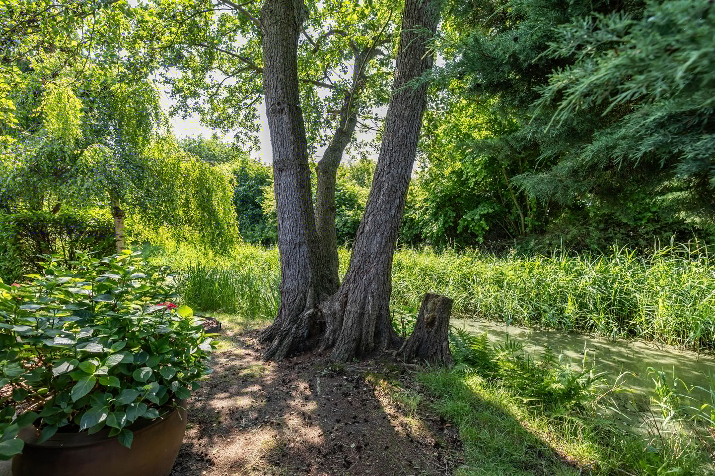 Foto 35 van Veenweg 29-A