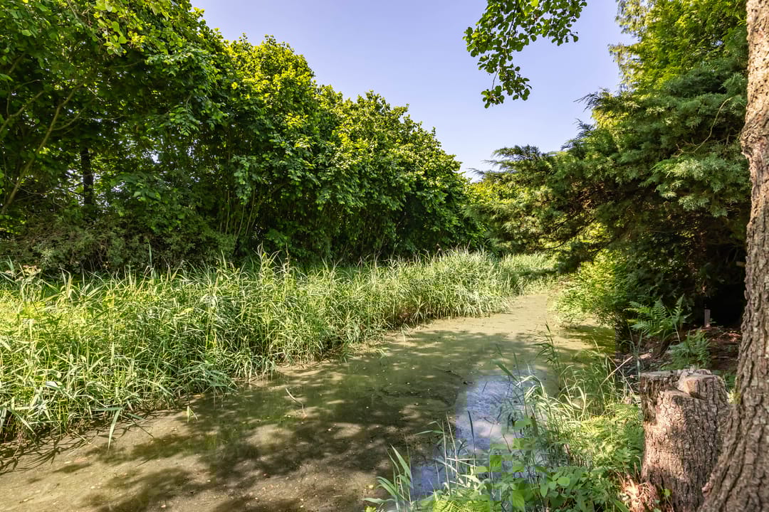 Foto 38 van Veenweg 29-A