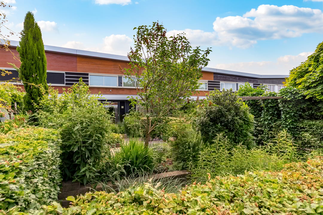 Foto 1 van Catharinaplaatjes 6