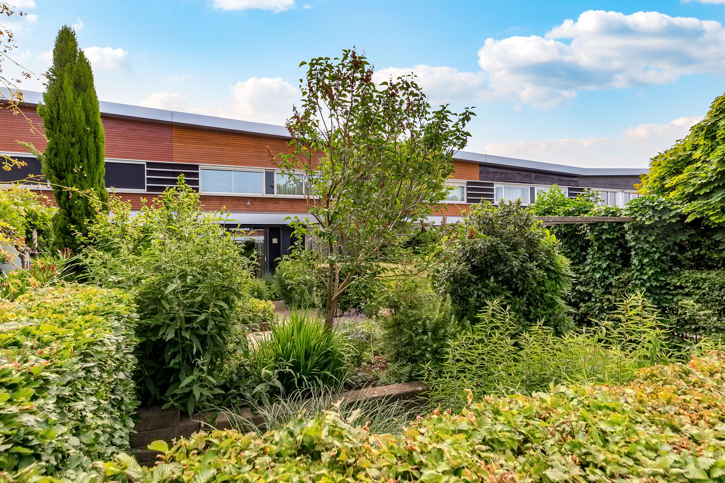 Foto 1 van Catharinaplaatjes 6