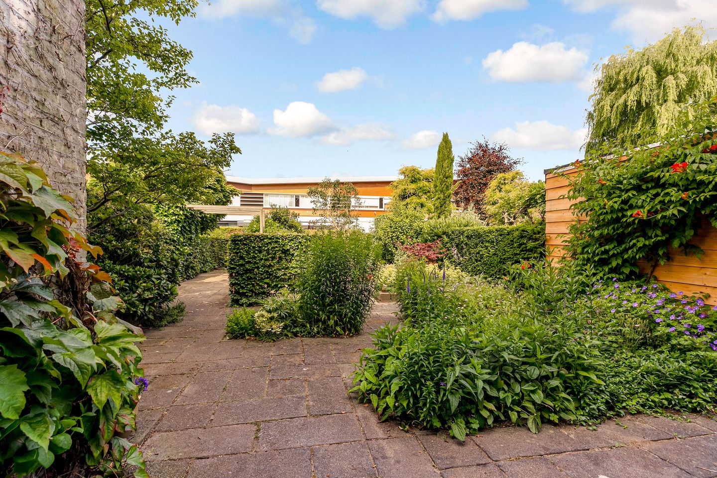 Foto 49 van Catharinaplaatjes 6