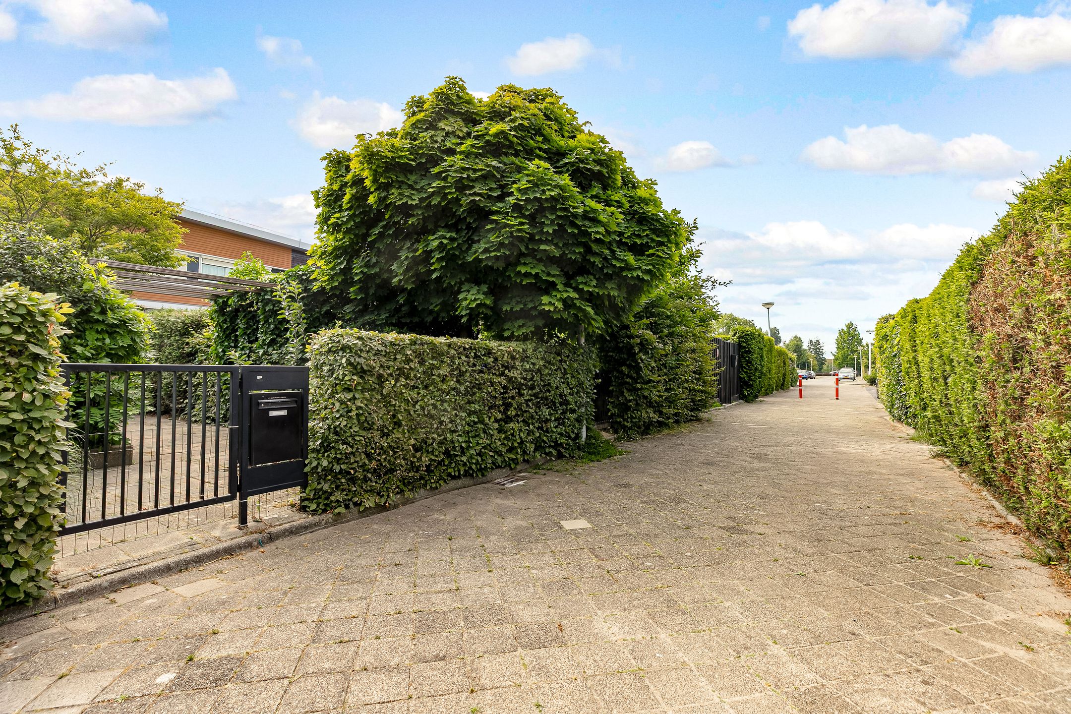 Foto 51 van Catharinaplaatjes 6