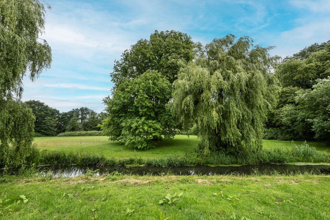 Foto 31 van Santpoortse Dreef 86