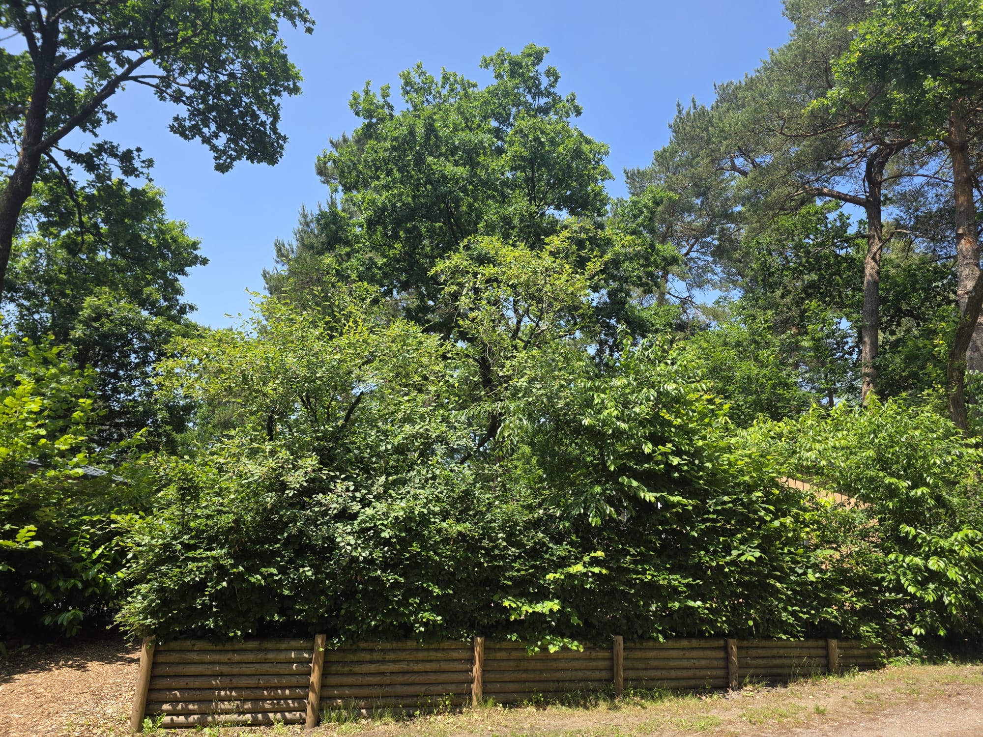 Foto 30 van Groenelaantje 25-57