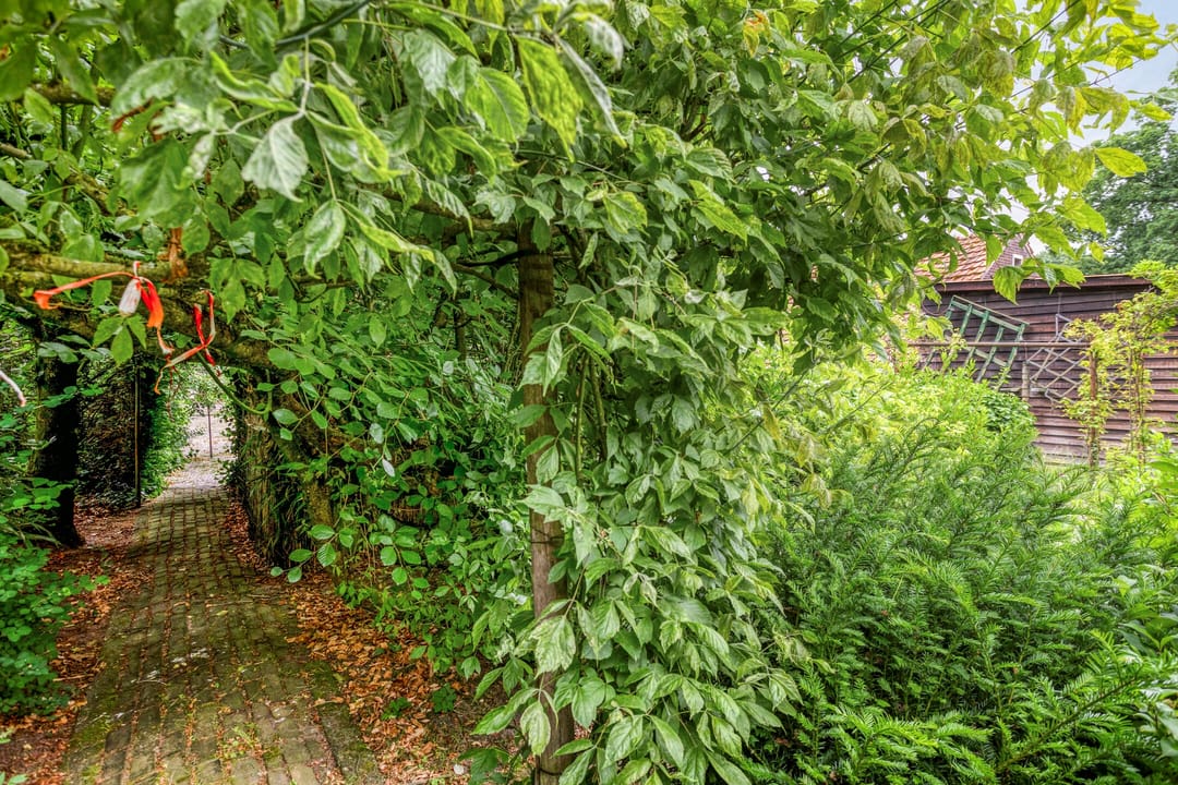 Foto 71 van Udenseweg 24