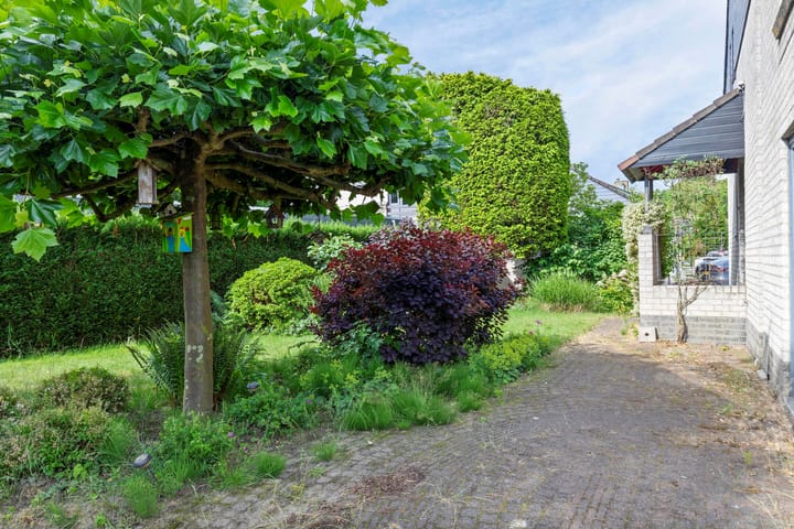 Foto 37 van Vlasweel 80