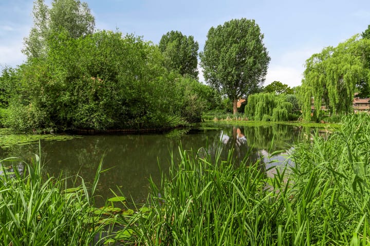 Foto 45 van Vlasweel 80