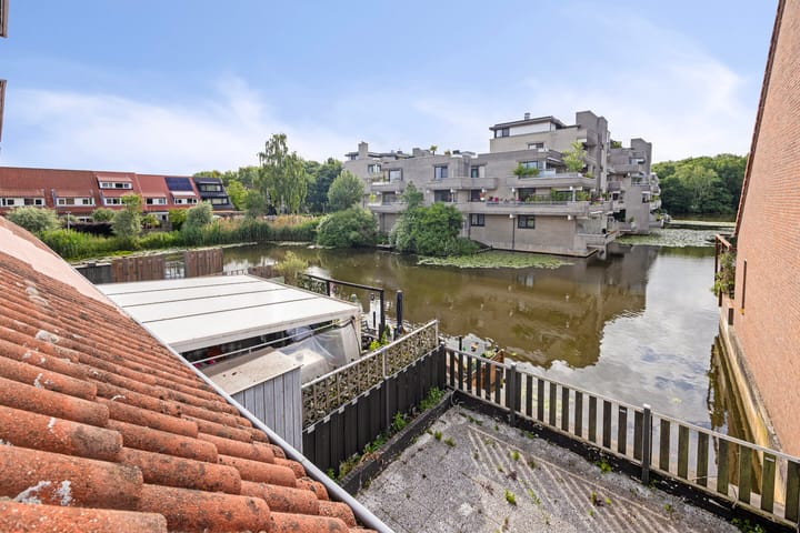 Foto 2 van Libellendans 11