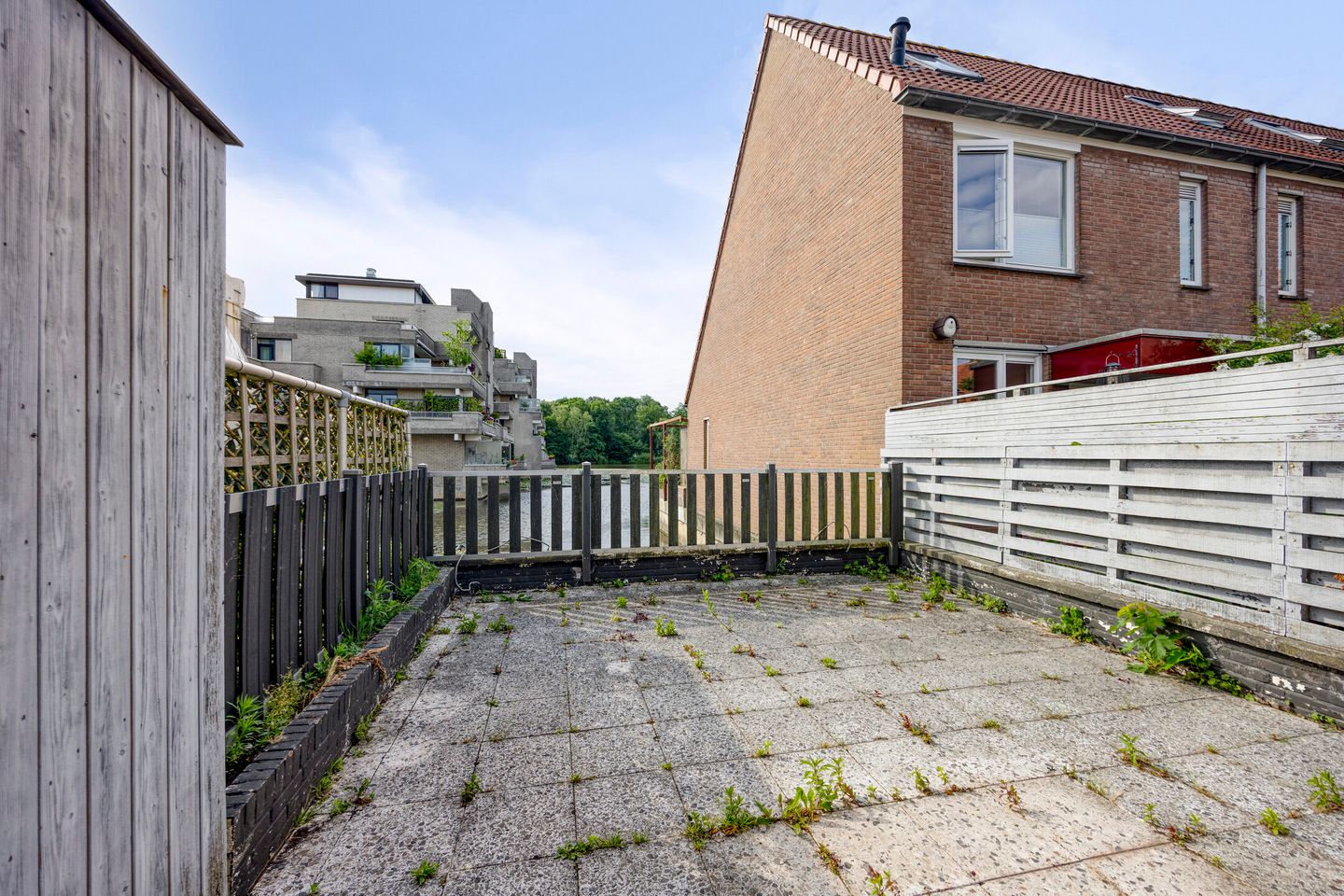 Foto 5 van Libellendans 11