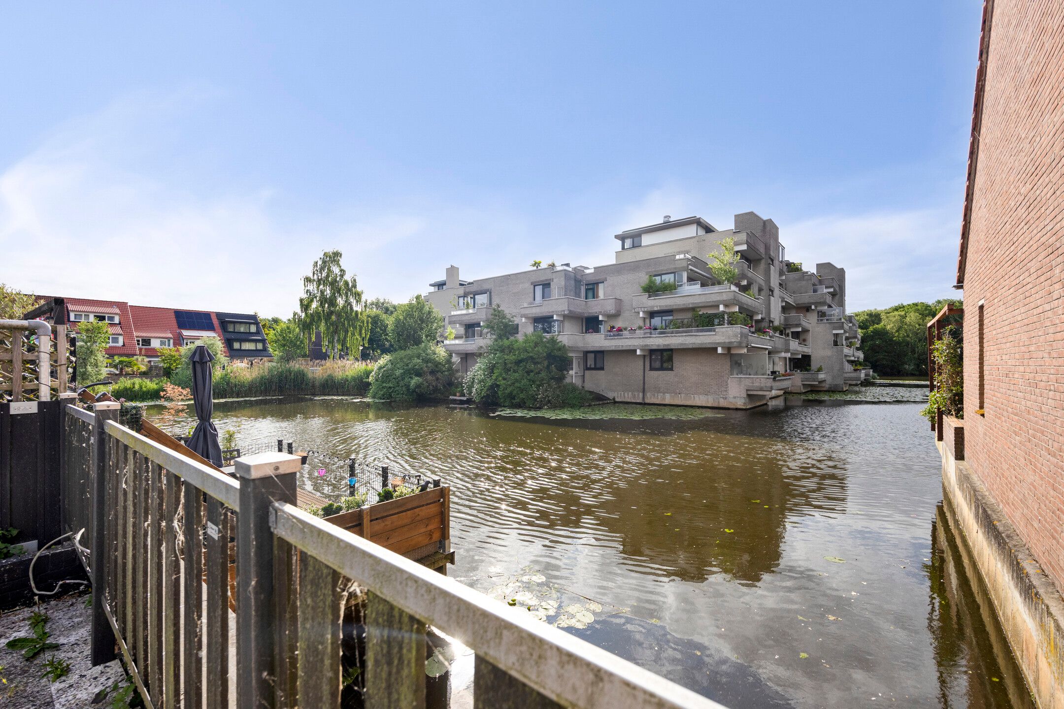 Foto 6 van Libellendans 11