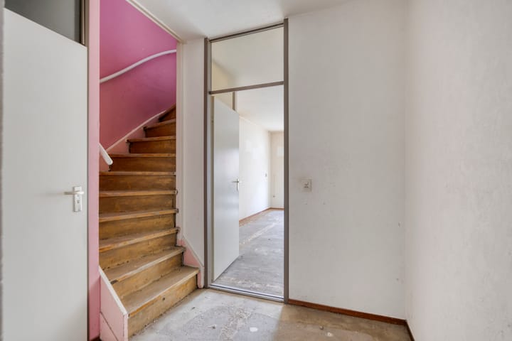 Foto 9 van Libellendans 11