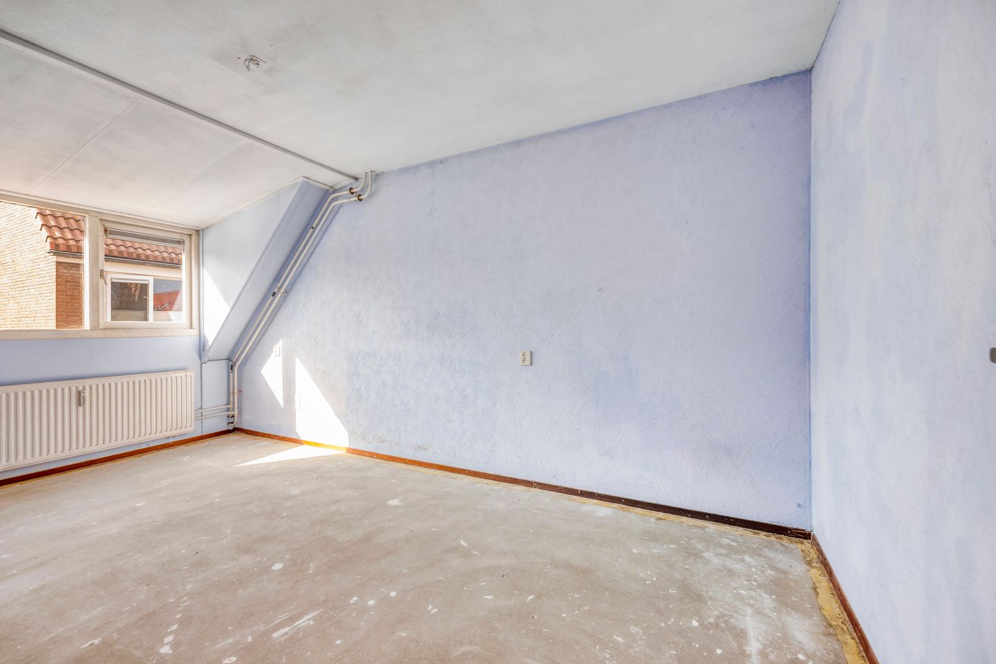 Foto 10 van Libellendans 11