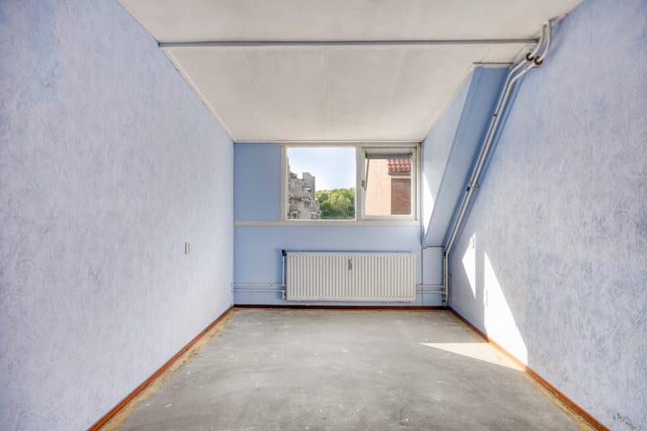 Foto 11 van Libellendans 11