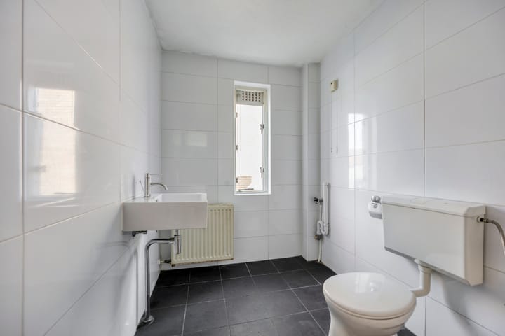 Foto 13 van Libellendans 11