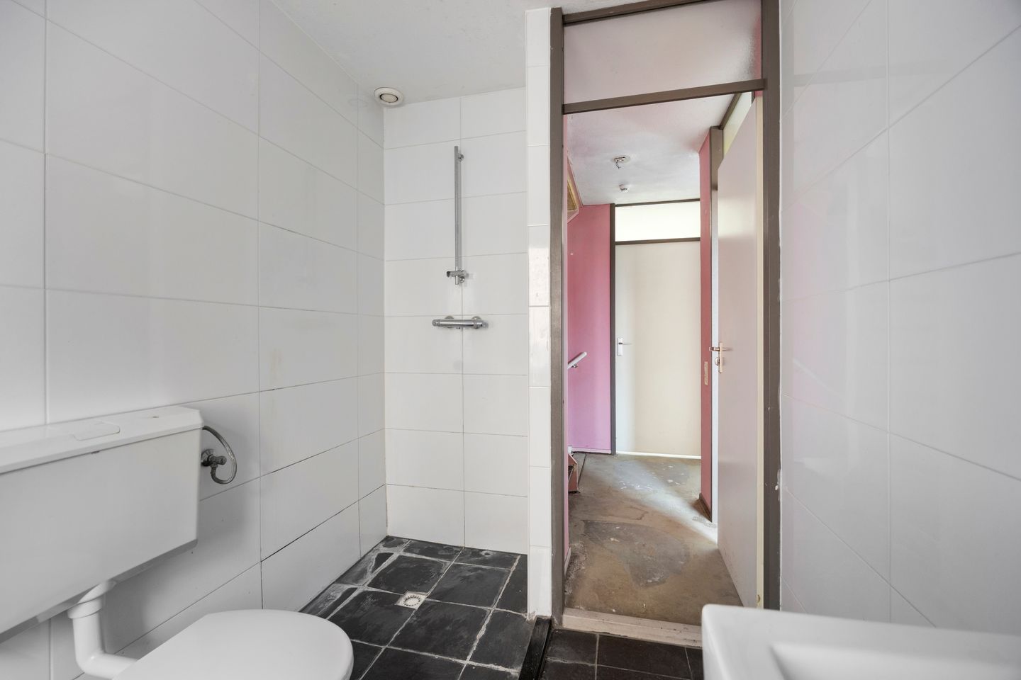 Foto 14 van Libellendans 11