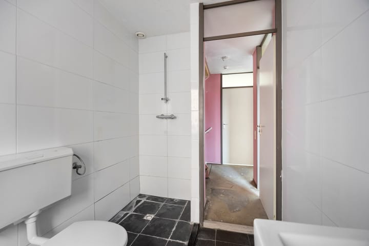 Foto 14 van Libellendans 11