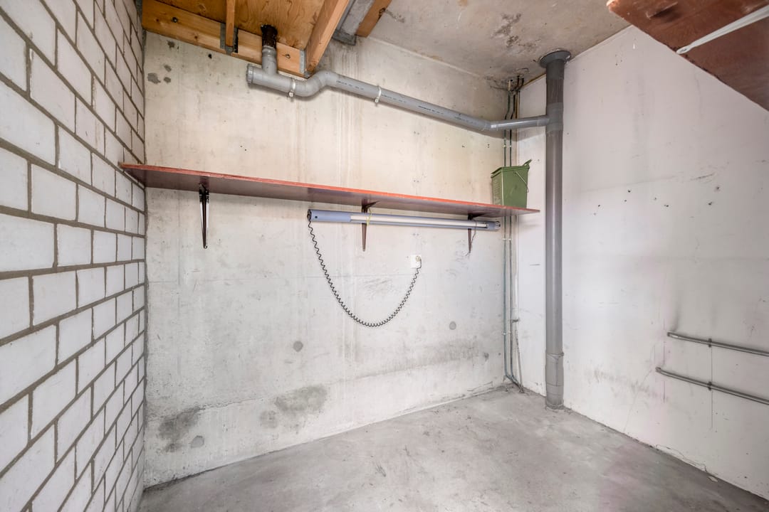 Foto 23 van Libellendans 11