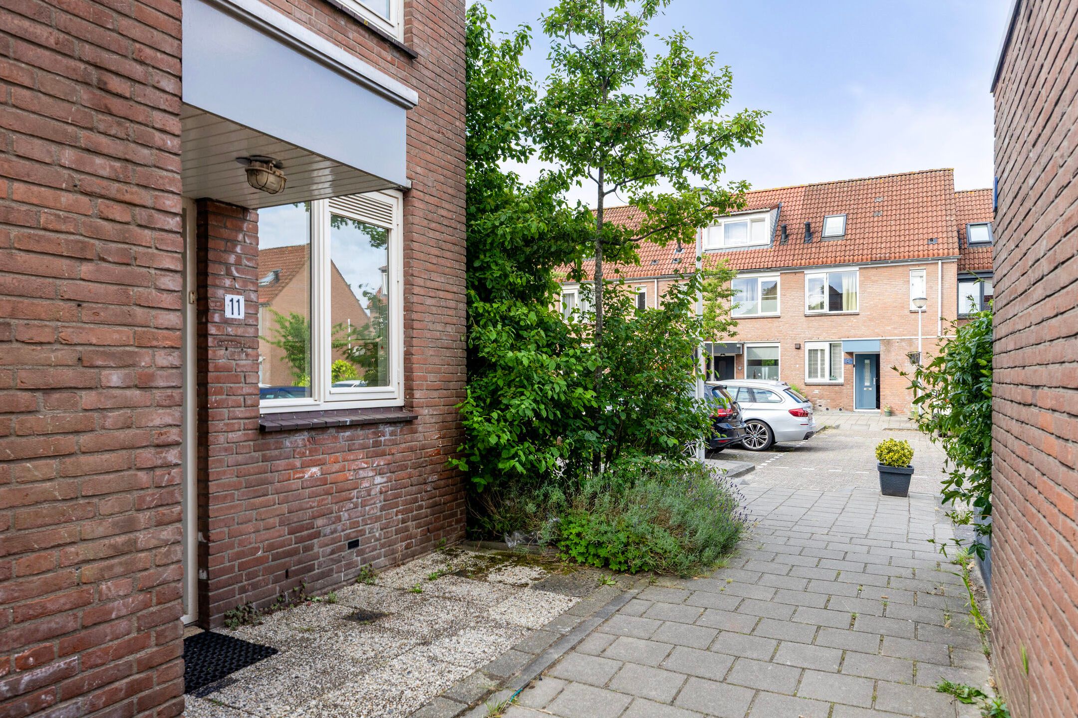 Foto 24 van Libellendans 11