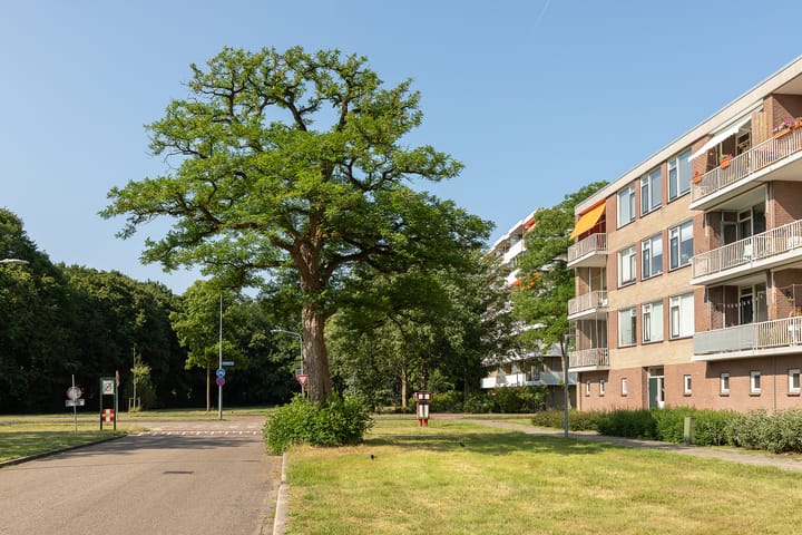 Foto 25 van Geert Grootelaan 35