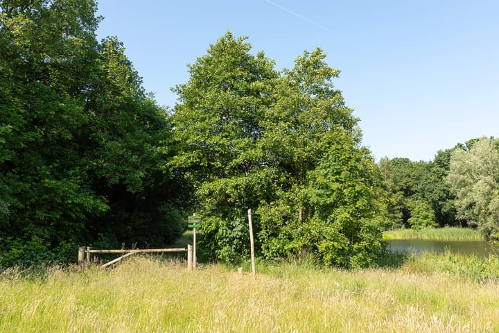 Foto 26 van Geert Grootelaan 35