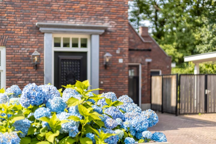 Foto 7 van Boslaan 19