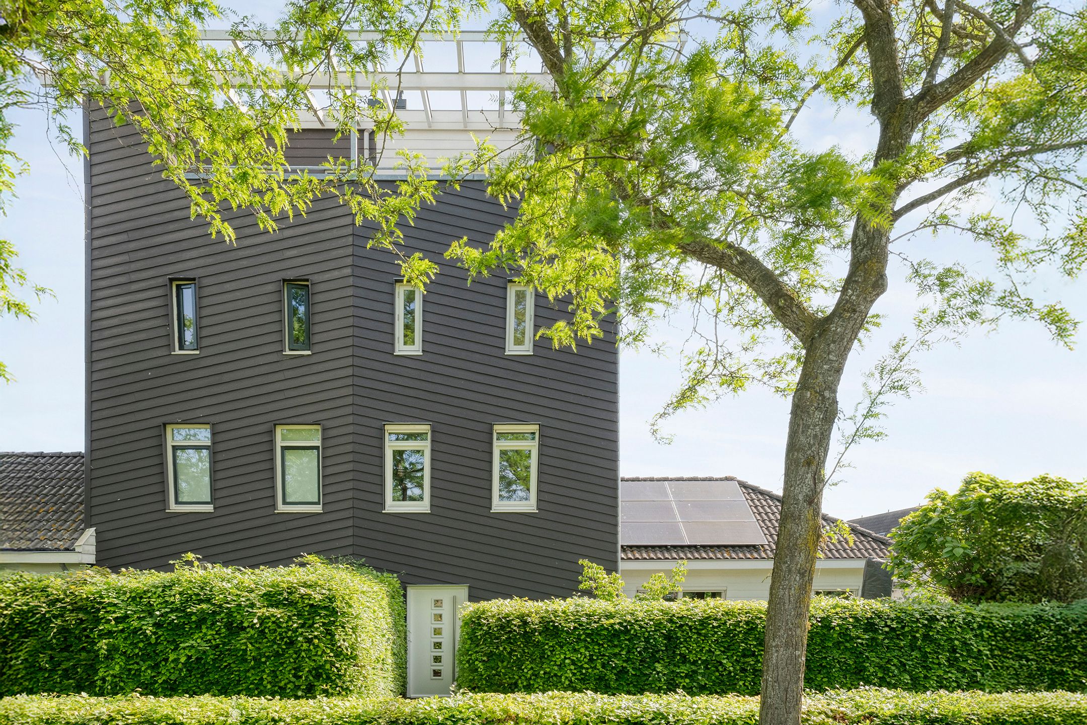 Foto 3 van Mannagras 19