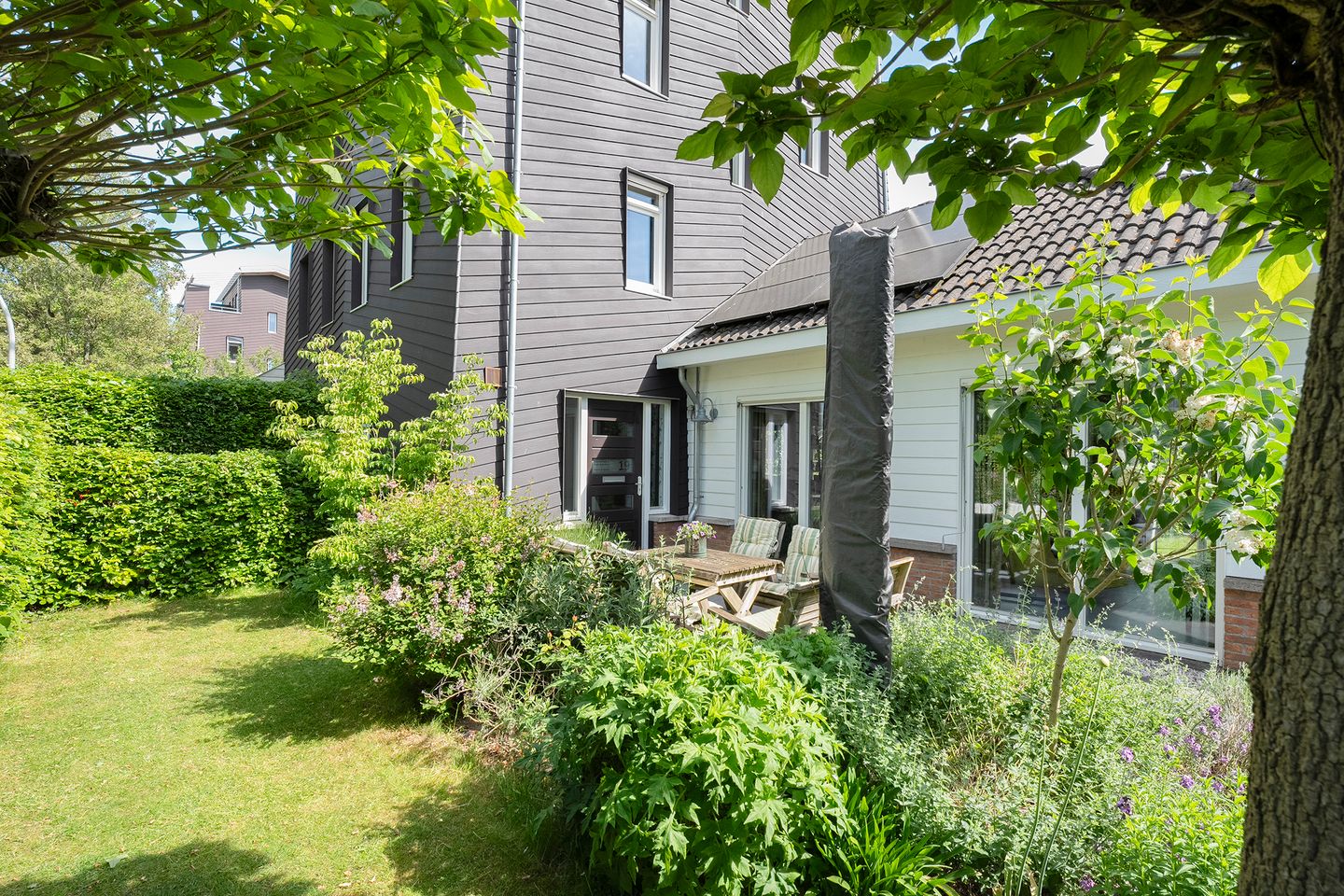 Foto 4 van Mannagras 19