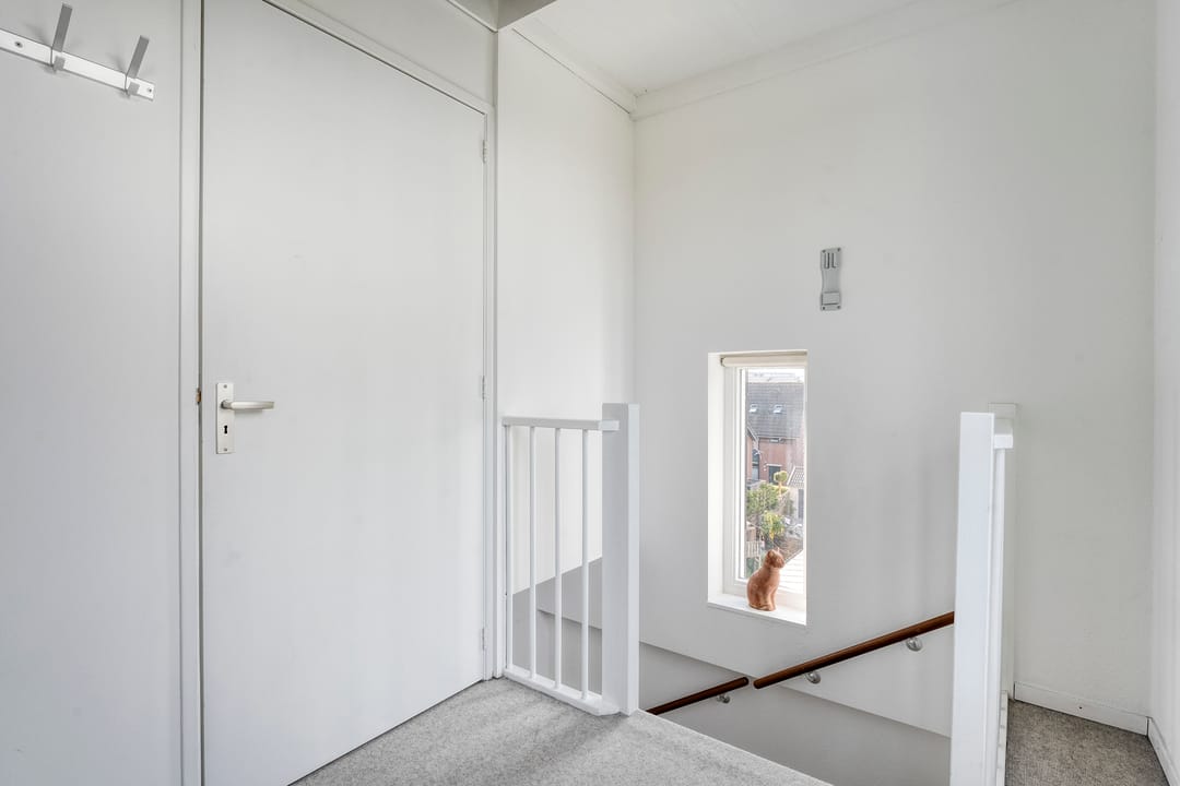 Foto 31 van Mannagras 19