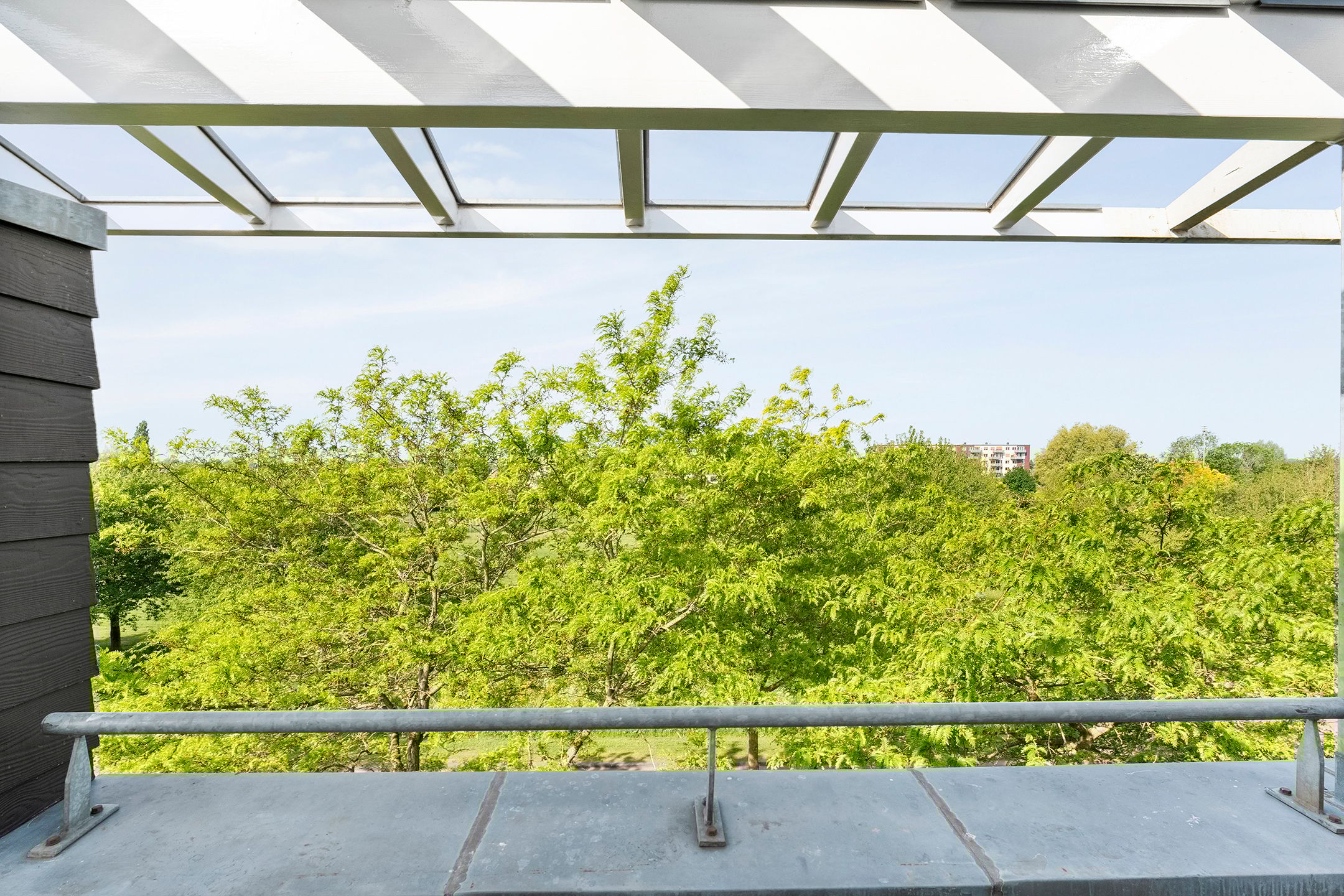 Foto 36 van Mannagras 19