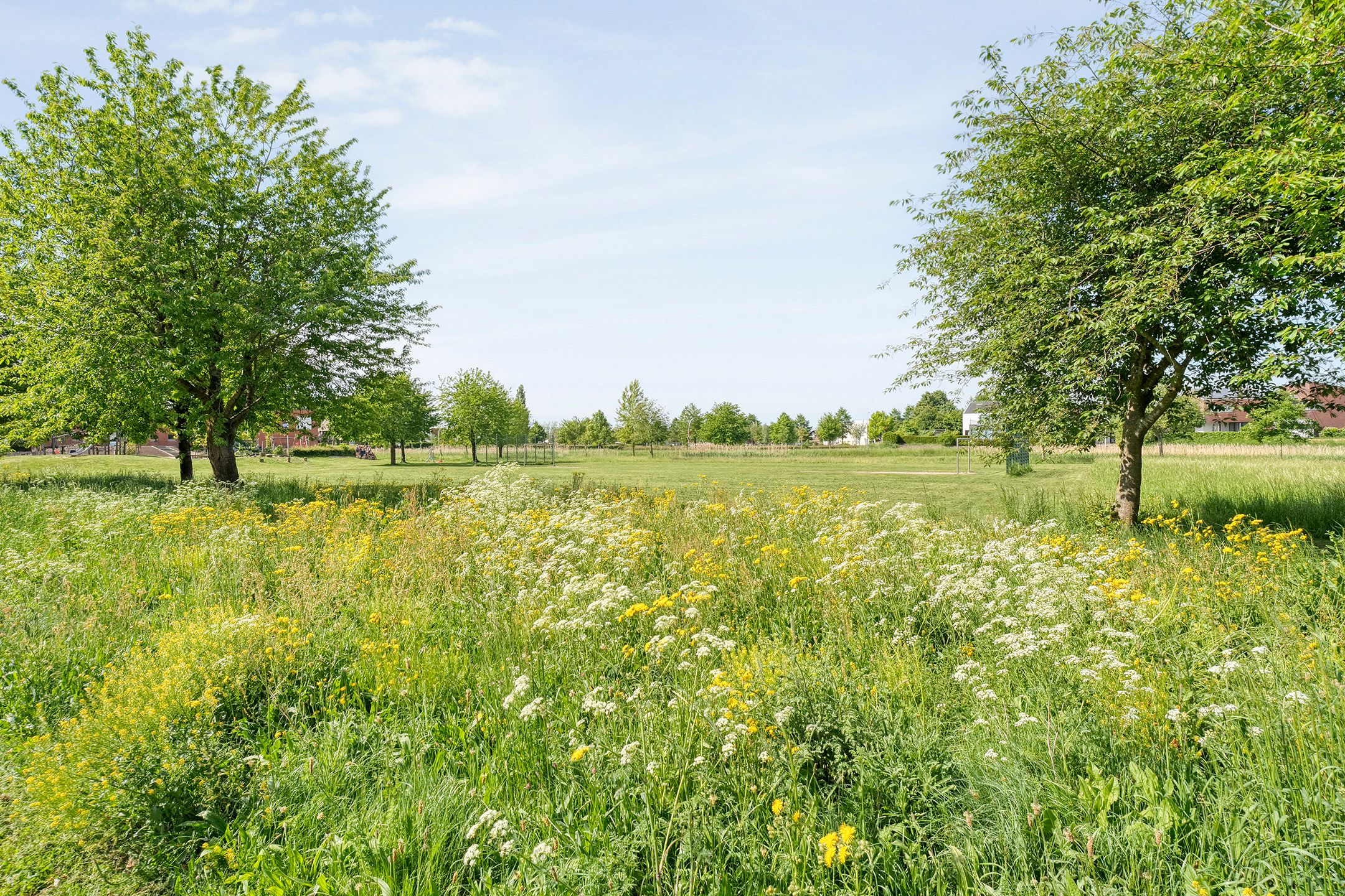 Foto 45 van Mannagras 19