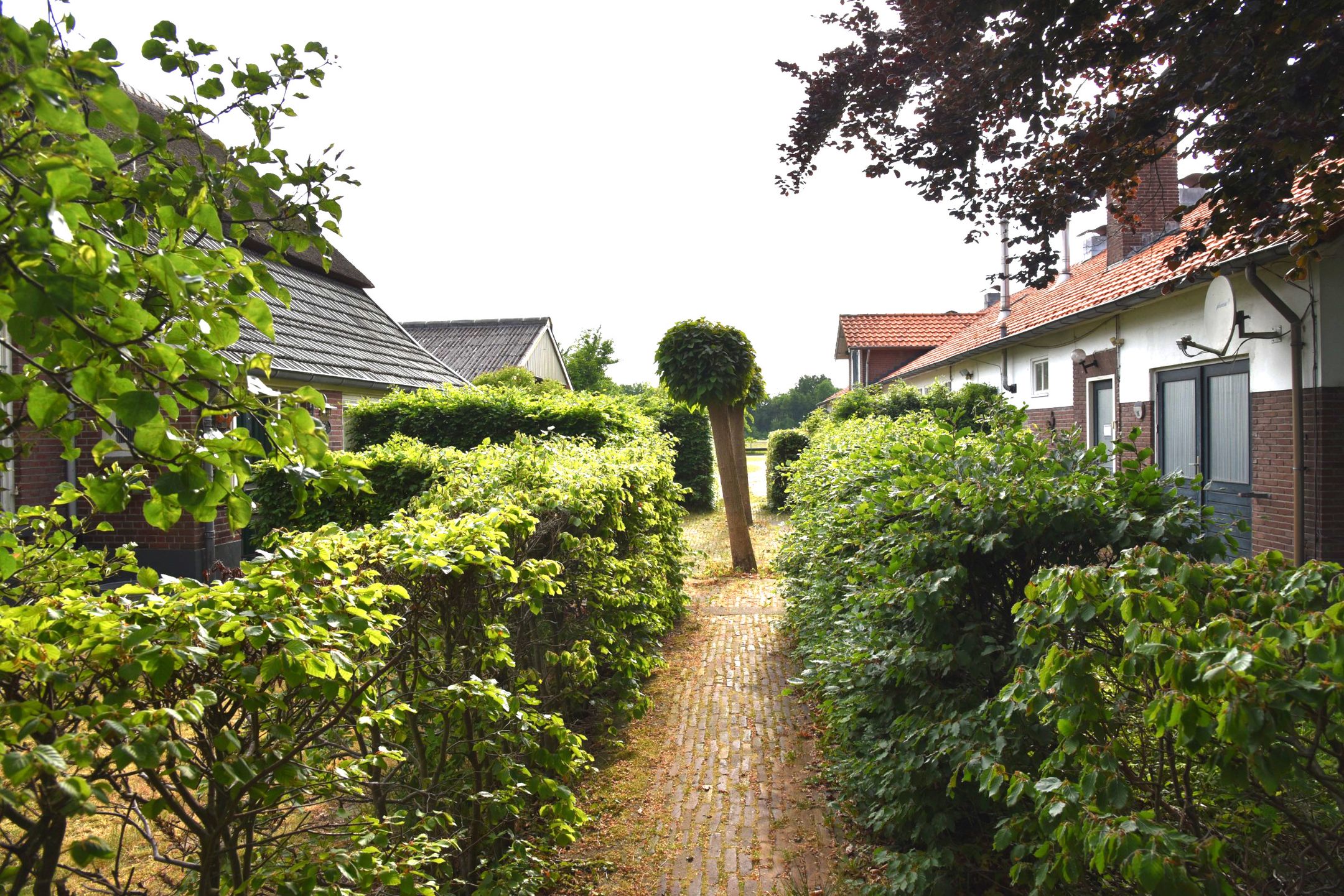 Foto 39 van Sangeldijk 14