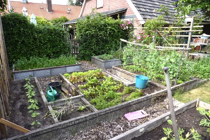 Foto 50 van Sangeldijk 14