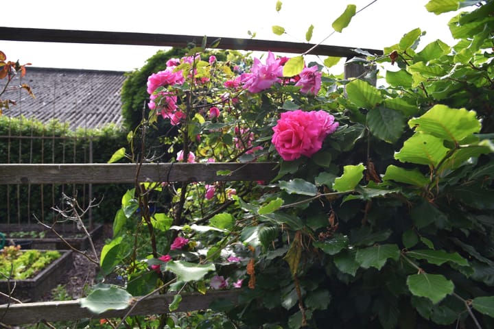 Foto 51 van Sangeldijk 14