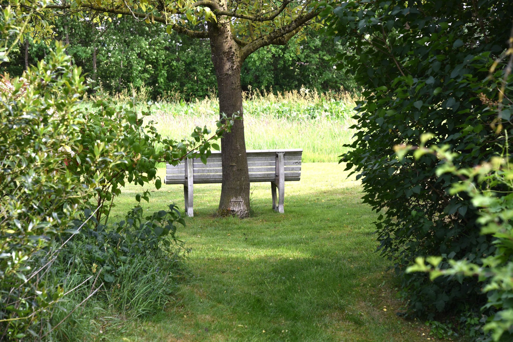 Foto 57 van Sangeldijk 14