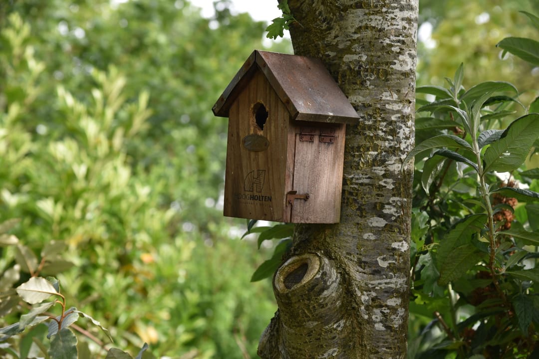 Foto 58 van Sangeldijk 14