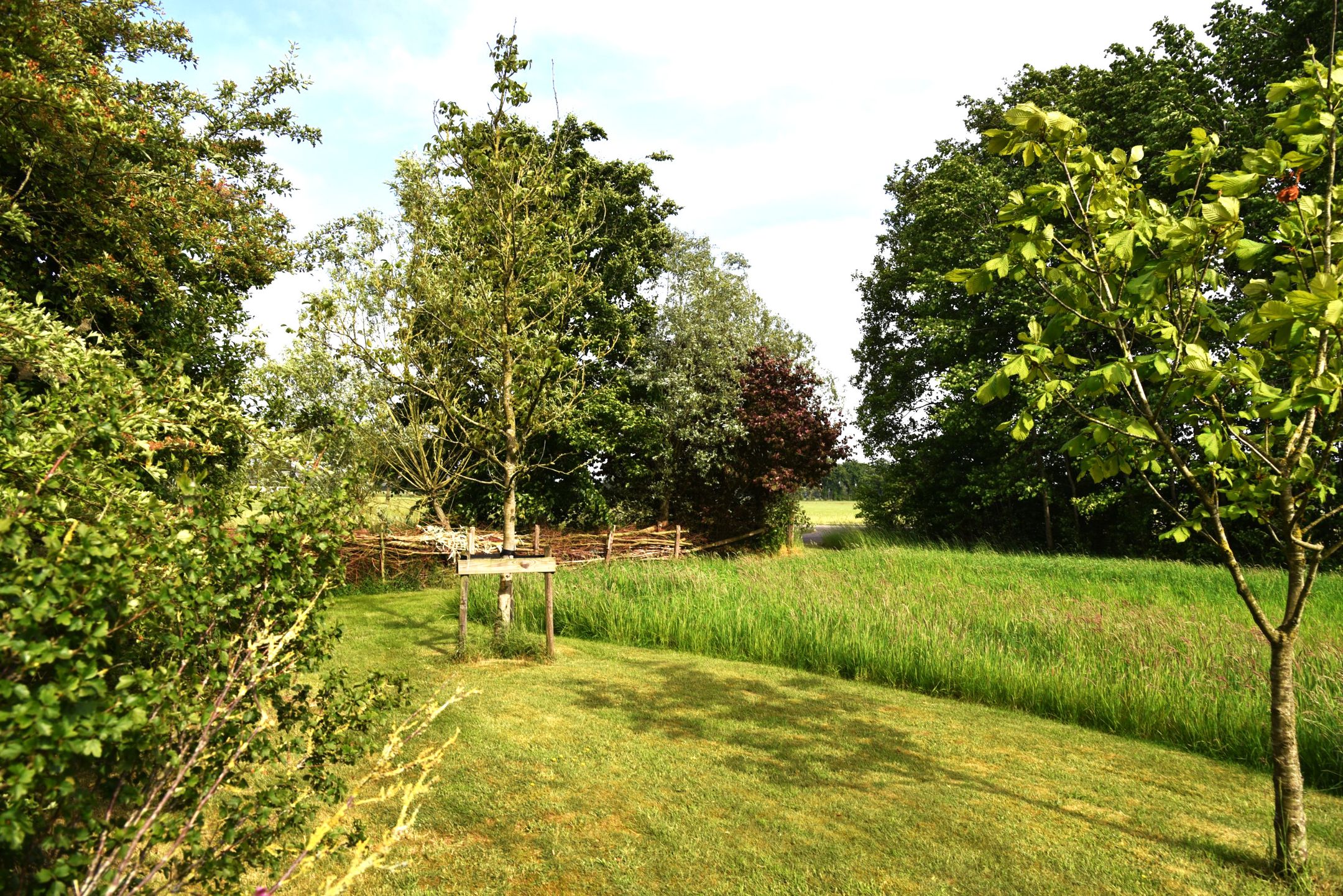 Foto 60 van Sangeldijk 14