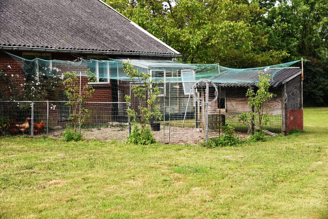 Foto 98 van Sangeldijk 14