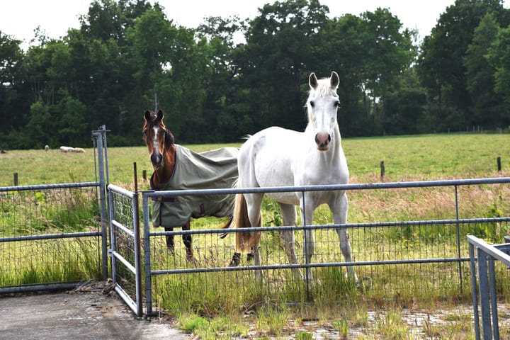 Foto 105 van Sangeldijk 14