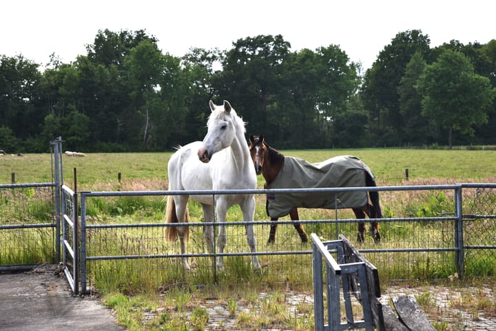 Foto 106 van Sangeldijk 14