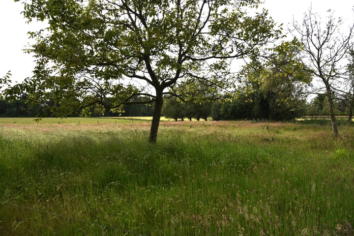 Foto 107 van Sangeldijk 14