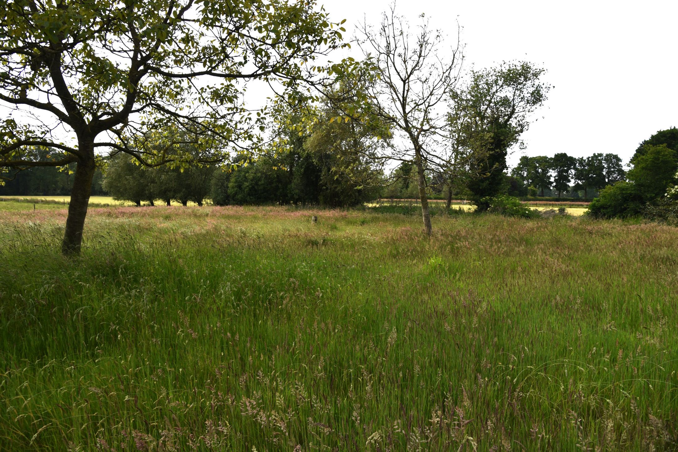 Foto 108 van Sangeldijk 14