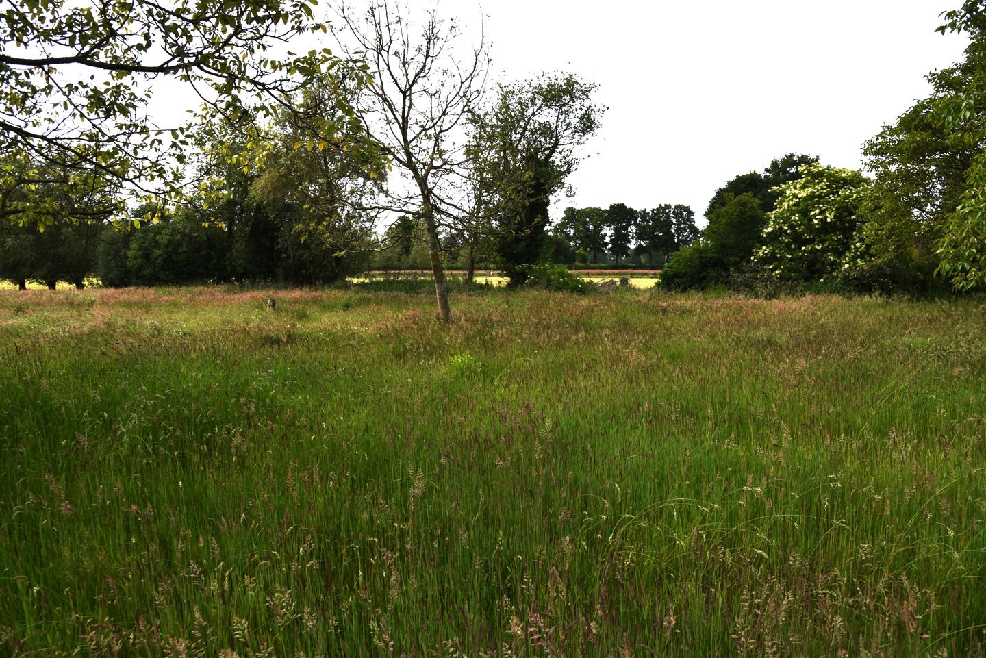 Foto 109 van Sangeldijk 14