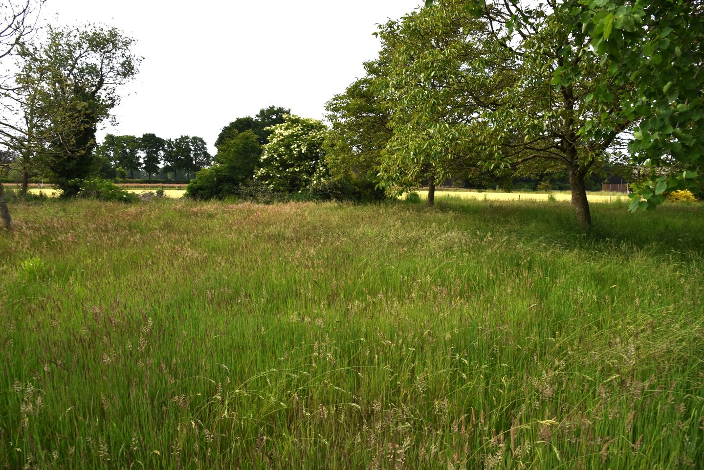 Foto 110 van Sangeldijk 14