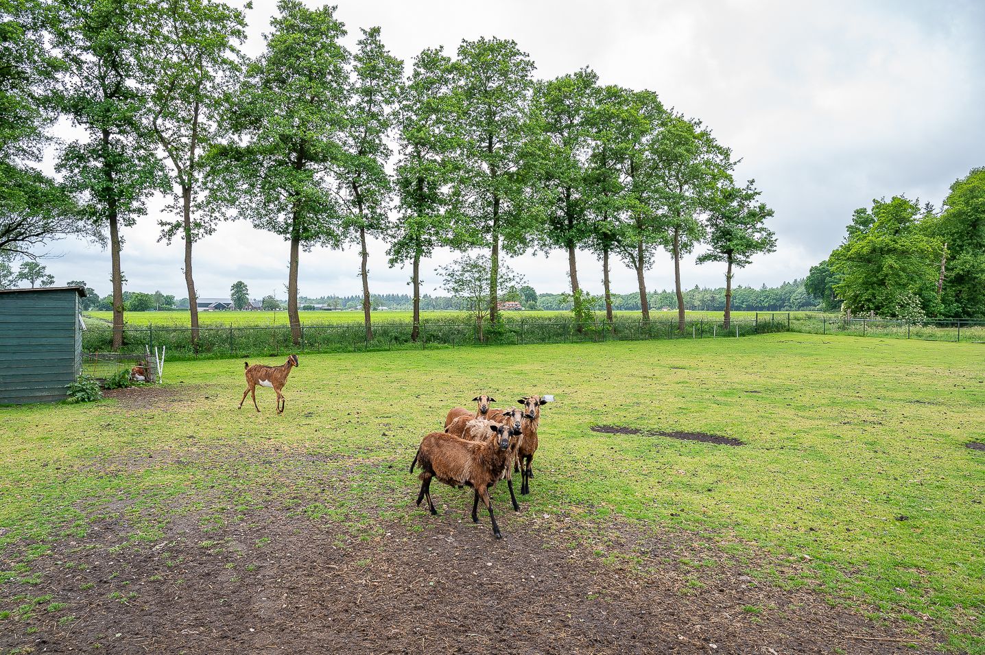 Foto 50 van Stellingweg 1