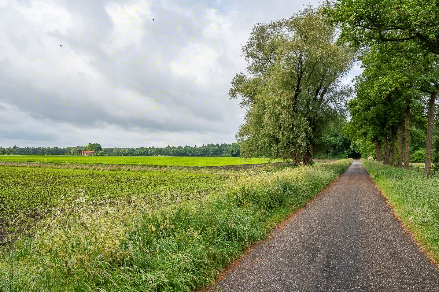 Foto 54 van Stellingweg 1