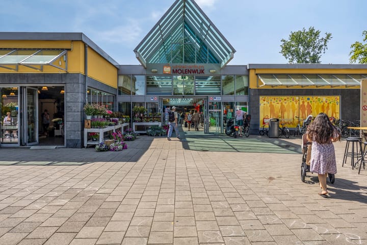 Foto 46 van Jan Ringelstraat 2