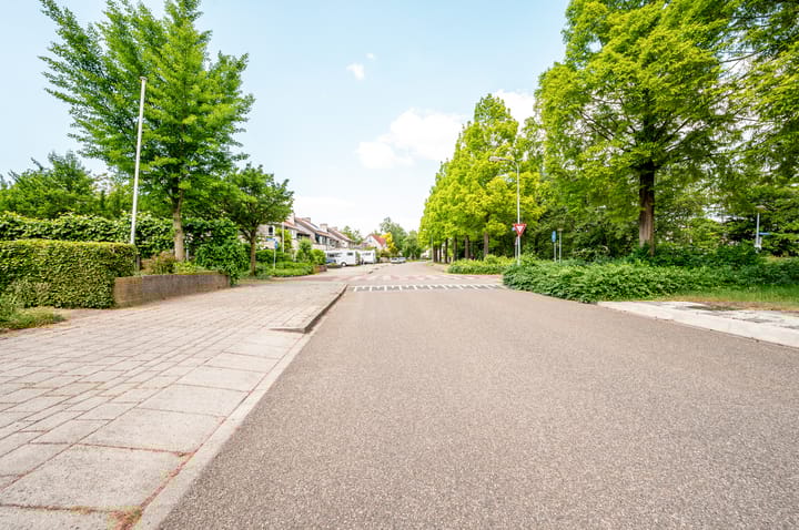 Photo 37 of Ragtimedreef 16