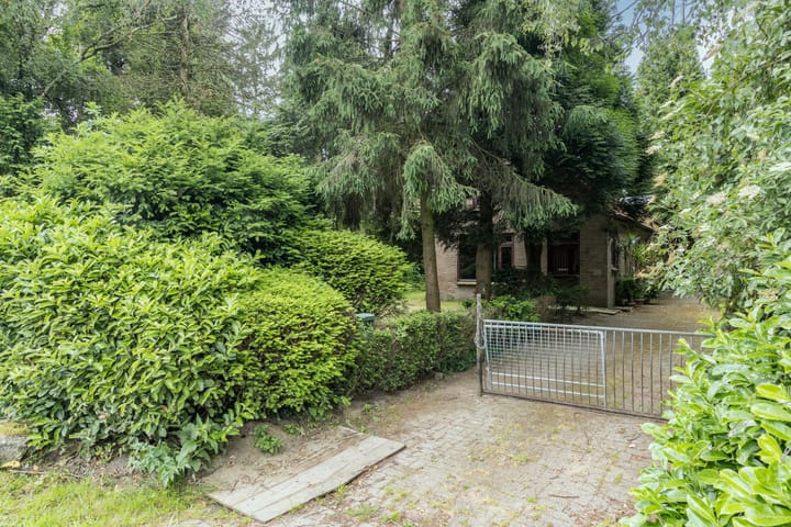 Photo 3 of Flierensestraat 1