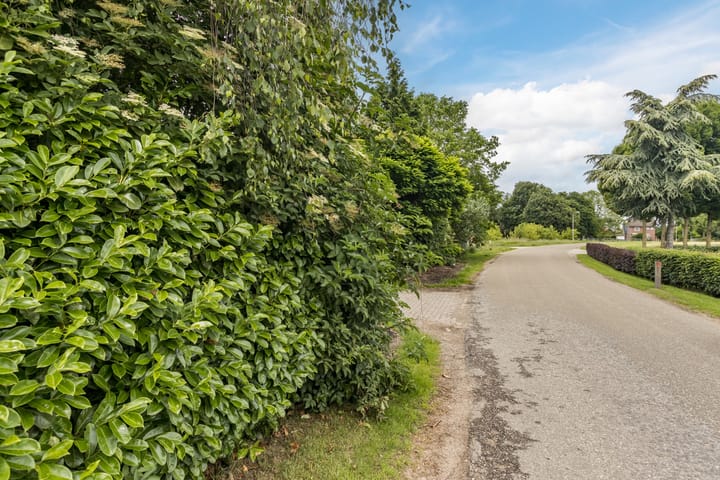 Photo 39 of Flierensestraat 1