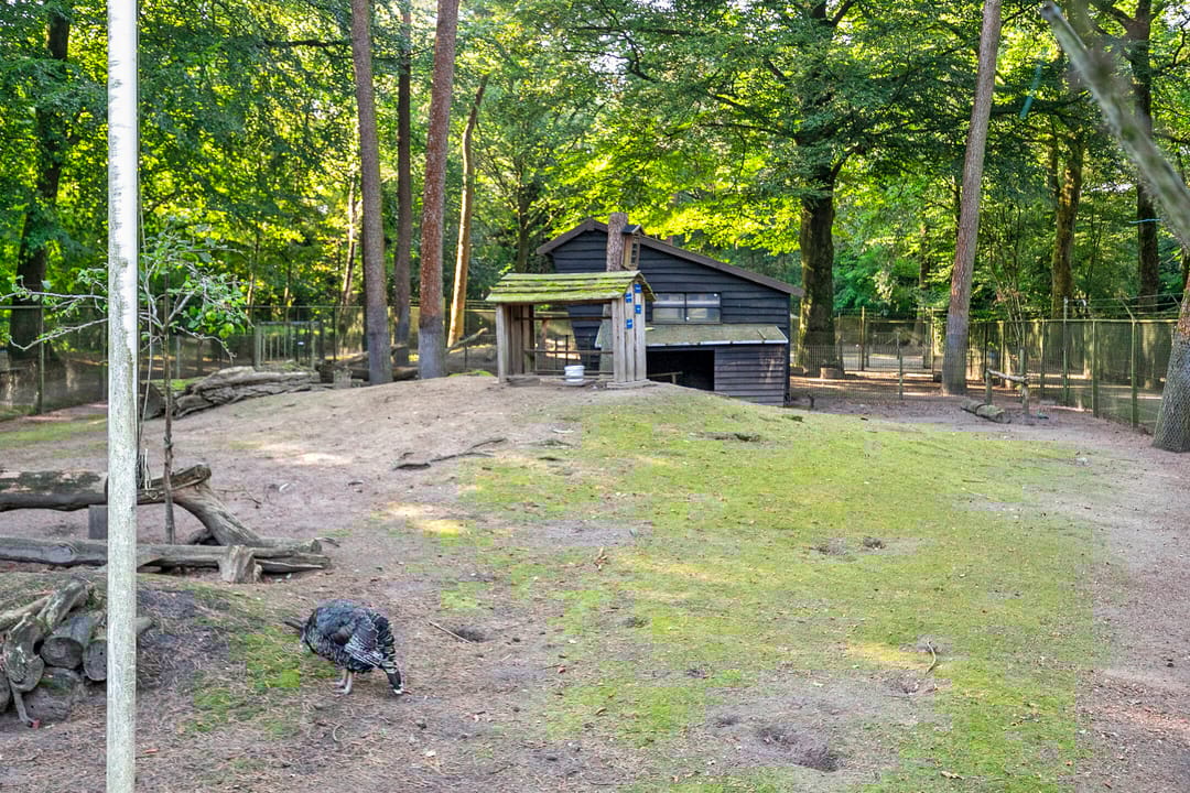 Foto 38 van Indigolaan 7